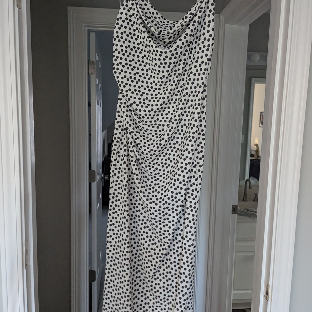 Zara Black and White Polka Dot Maxi Dress